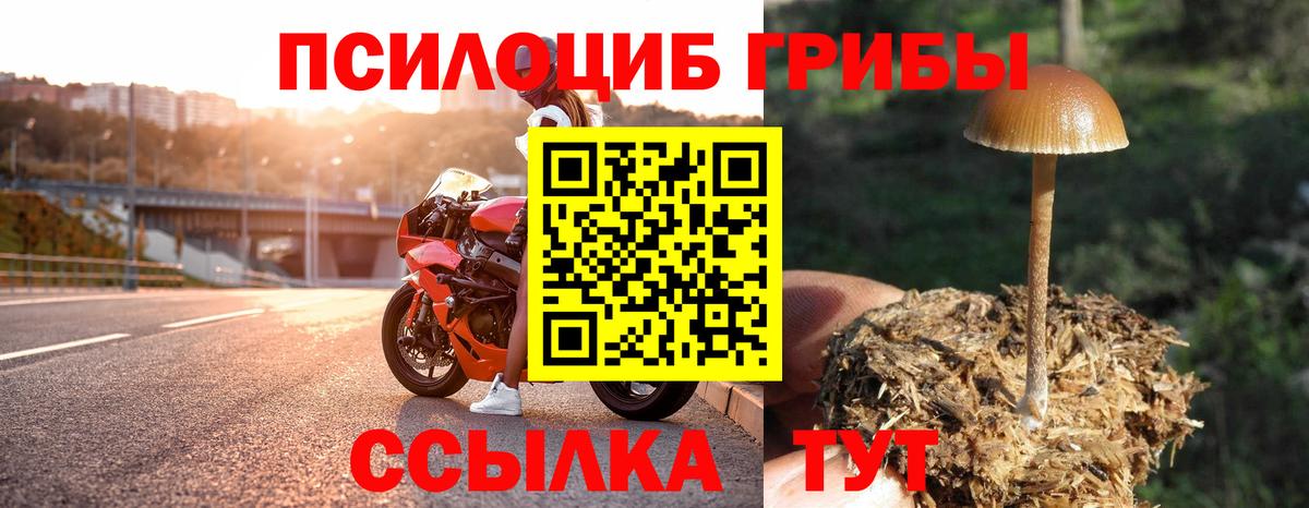 Галлюциногенные грибы мухоморы  Вход с VPN  закладки  Псилоцибиновые грибы Magic Shrooms  Петропавловск-Камчатский 