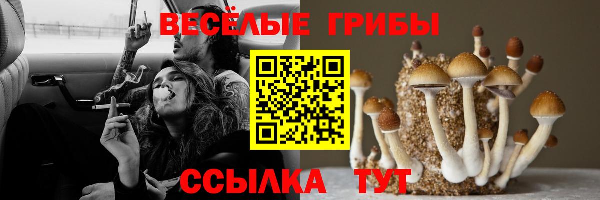 Галлюциногенные грибы ЛСД Петропавловск-Камчатский